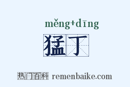 猛丁是什么意思的图片